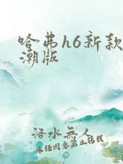 哈弗h6新款国潮版