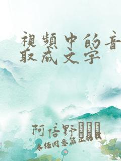 视频中的音频提取成文字
