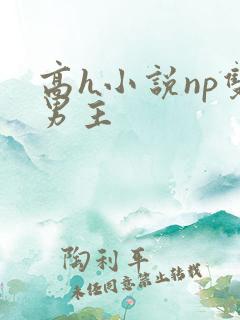 高h小说np双男主