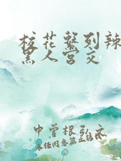 校花系列辣h文黑人宫交