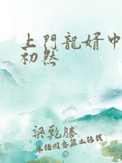 上门龙婿中辰萧初然