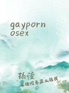 gaypornosex