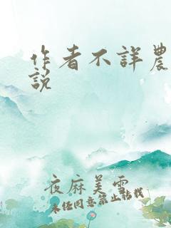 作者不详农村小说