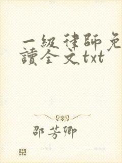 一级律师免费阅读全文txt