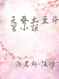 天蚕土豆斗破苍穹小说