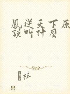 凤逆天下原著小说叫什么