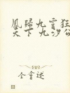 凤归九霄狂妃逆天下 九汐公子