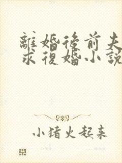 离婚后前夫哭着求复婚小说免费讲述