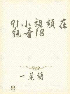 91小视频在线观看18