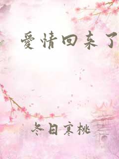 爱情回来了网盘