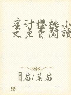 蜜汁樱桃小说全文免费阅读txt