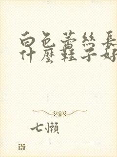 白色蕾丝长裙配什么鞋子好看