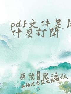 pdf文件是用什么打开