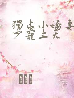 独占小娇妻:霍少宠上天