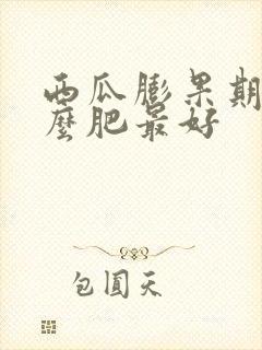 西瓜膨果期用什么肥最好
