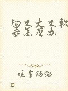 胸又大又软又下垂怎么办