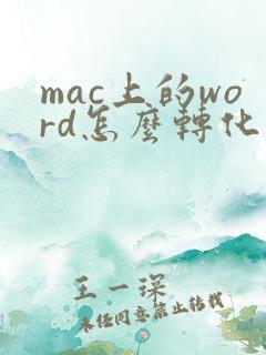 mac上的word怎么转化成pdf