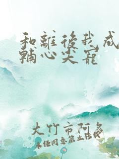 和离后我成了首辅心尖宠