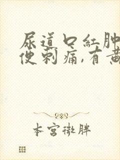 尿道口红肿,小便刺痛,有黄色分泌物
