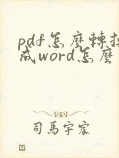 pdf怎么转换成word怎么是空白的