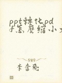 ppt转化pdf怎么缩小文件