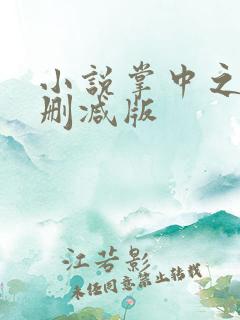 小说掌中之物未删减版