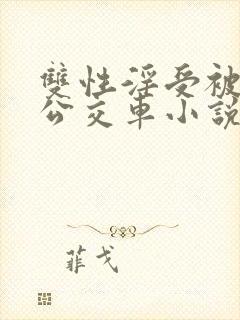 双性淫受被c批公交车小说