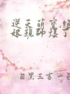 逆天萌宝,绝世娘亲帅爆了全集