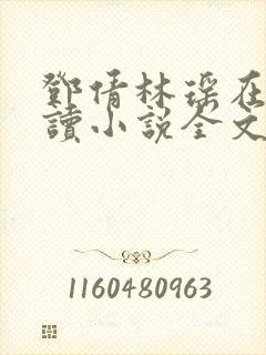 邓倩林瑶在线阅读小说全文
