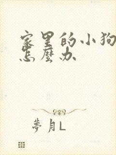 家里的小狗咬了怎么办