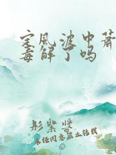 定风波中萧北冥毒解了吗
