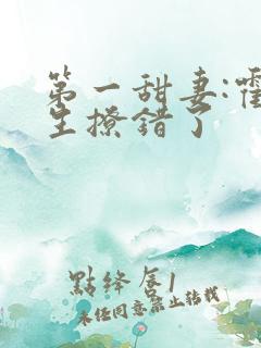 第一甜妻:霍先生撩错了