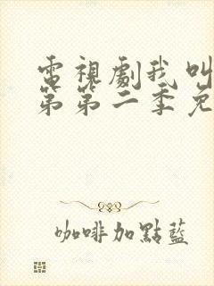 电视剧我叫赵甲第第二季免费全集