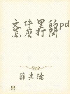 文件里的pdf怎么打开