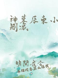 神墓辰东小说无删减
