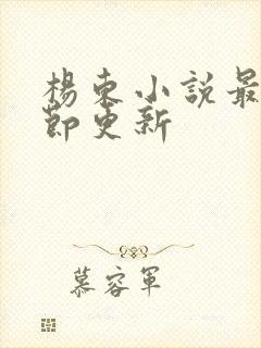 杨东小说最新章节更新