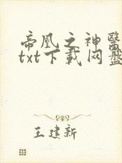 帝凰之神医弃妃txt下载网盘