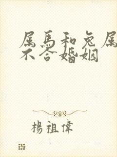 属马和兔属相合不合婚姻