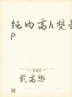 纯肉高h双性np