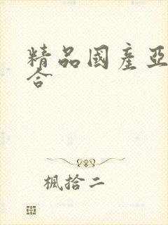 精品国产亚洲综合