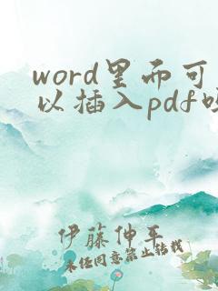 word里面可以插入pdf吗