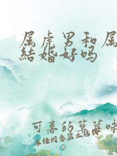 属虎男和属龙女结婚好吗