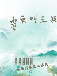 山东叫玉米叫什么