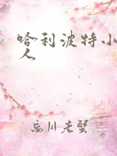 哈利波特小说同人