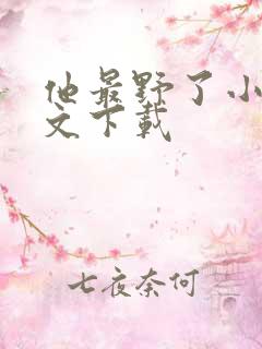 他最野了小说全文下载