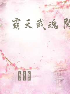霸天武魂 阅读