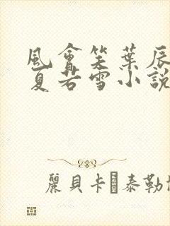 风会笑叶辰孙怡夏若雪小说无弹窗