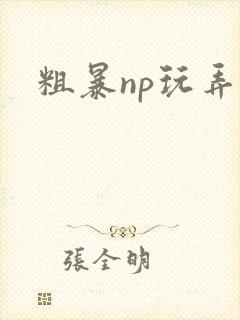 粗暴np玩弄