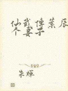 仙武传叶辰有几个妻子