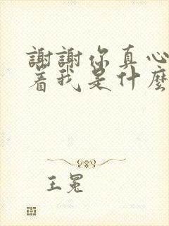 谢谢你真心的陪着我是什么歌